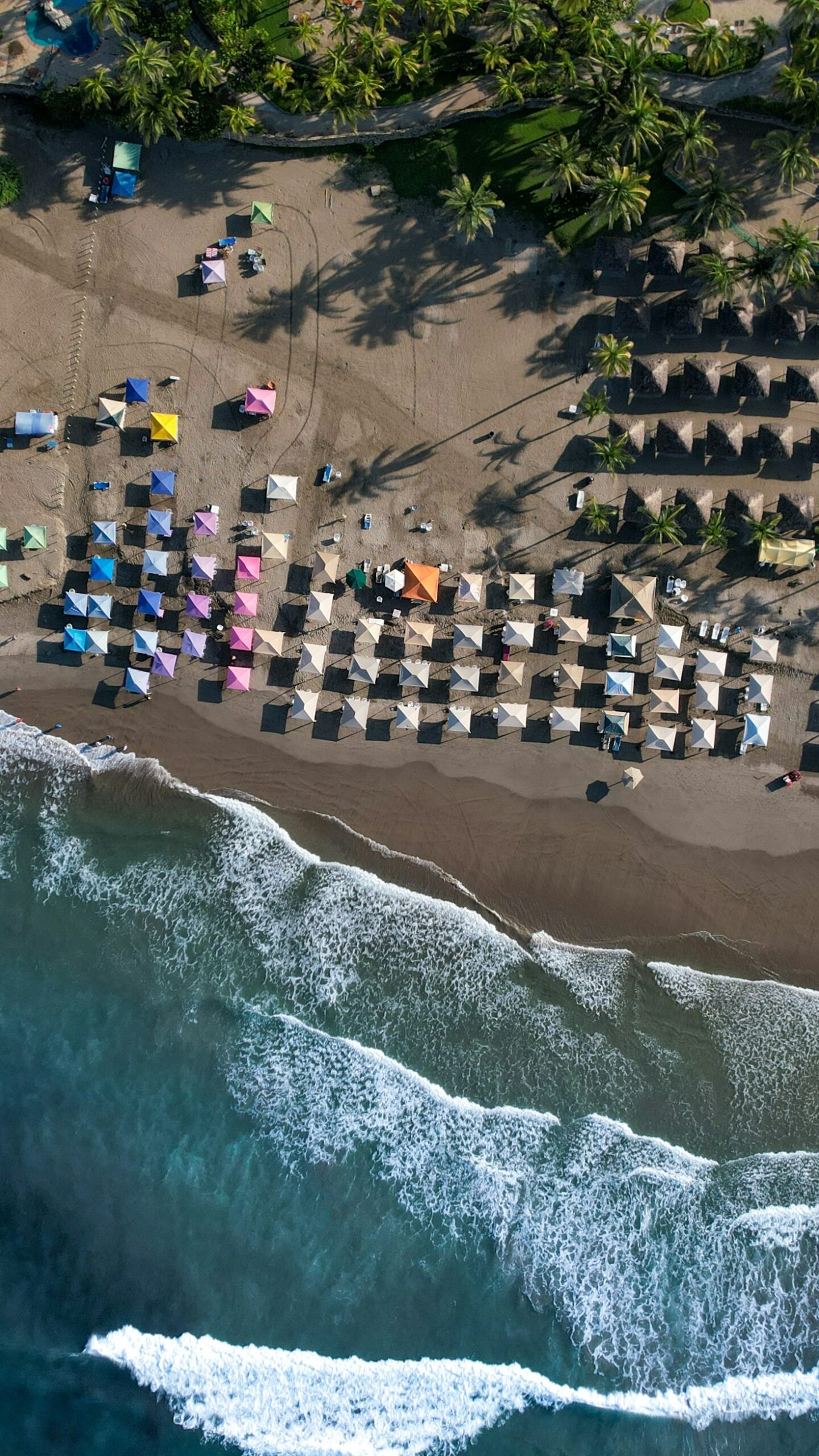 Narrativas únicas de quienes vivieron el Acapulco dorado